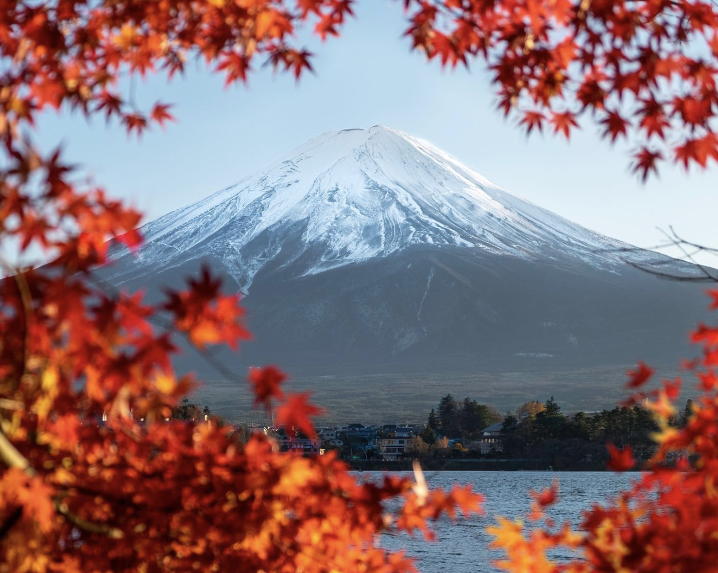 Mt. Fuji through autumn maples